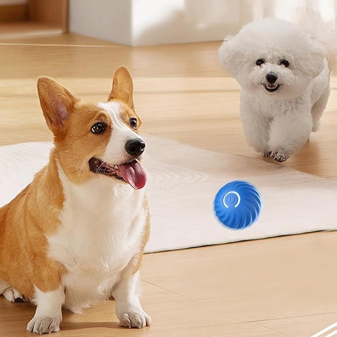 BarkBounce - Balle Interactive pour Chien