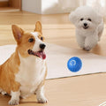 BarkBounce - Balle Interactive pour Chien