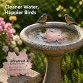 AquaLeaf™ — Gardez votre bain d'oiseaux cristallin et irrésistiblement frais chaque jour