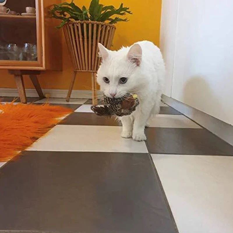 Catfri® Jouet Oiseau : Jouet Interactif Pour Chats
