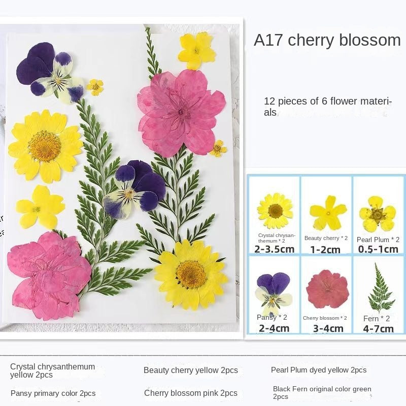 Marque-pages transparents avec fleurs séchées Woyuosn