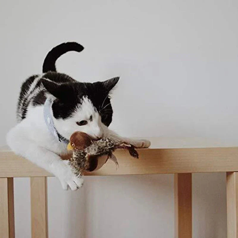 Catfri® Jouet Oiseau : Jouet Interactif Pour Chats