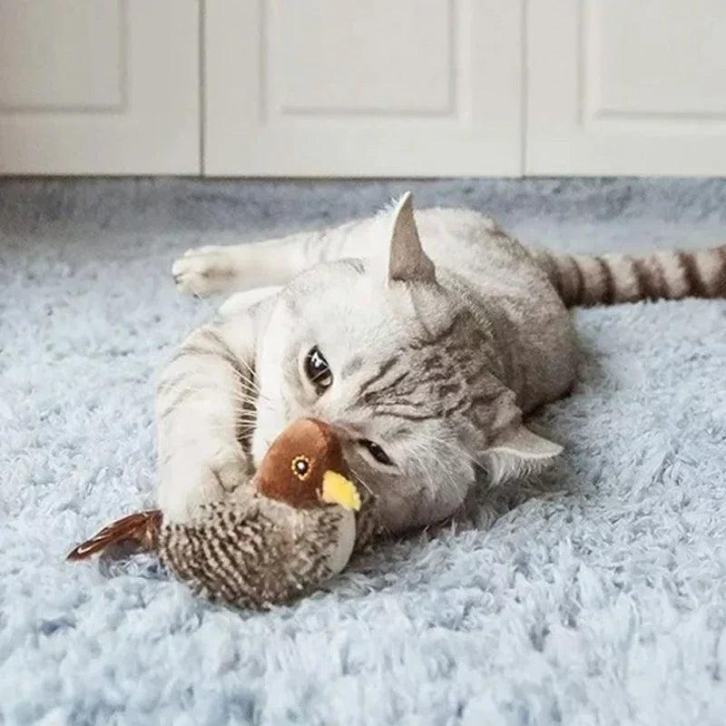 Catfri® Jouet Oiseau : Jouet Interactif Pour Chats