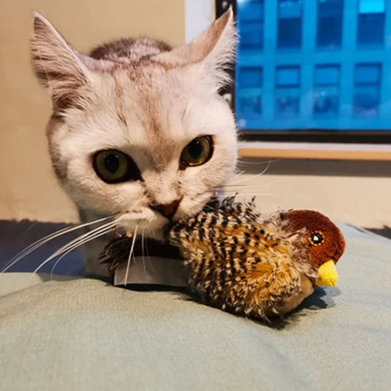 Catfri® Jouet Oiseau : Jouet Interactif Pour Chats
