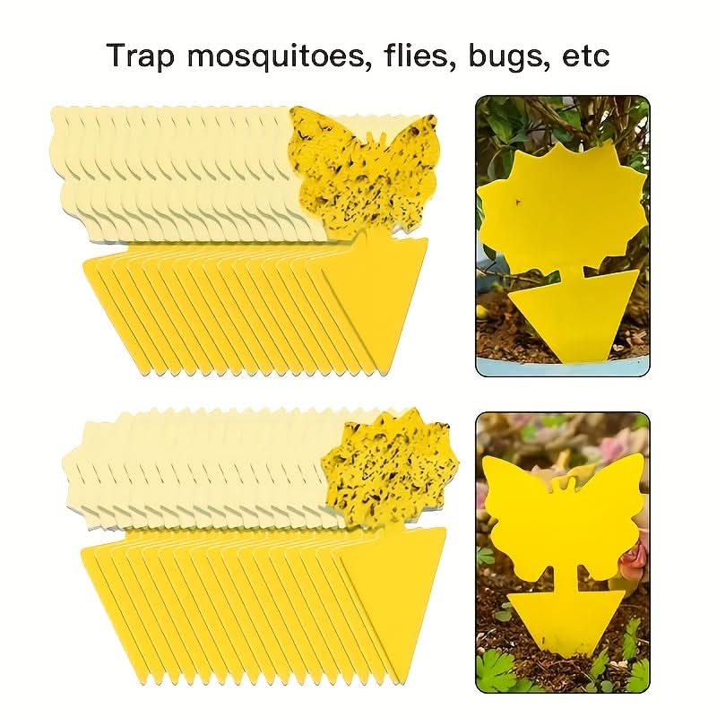 Pièges Jaunes pour Insectes Volants et Moucherons