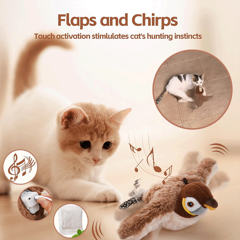 ChirpBuddy – Jouet interactif pour oiseaux pour chats