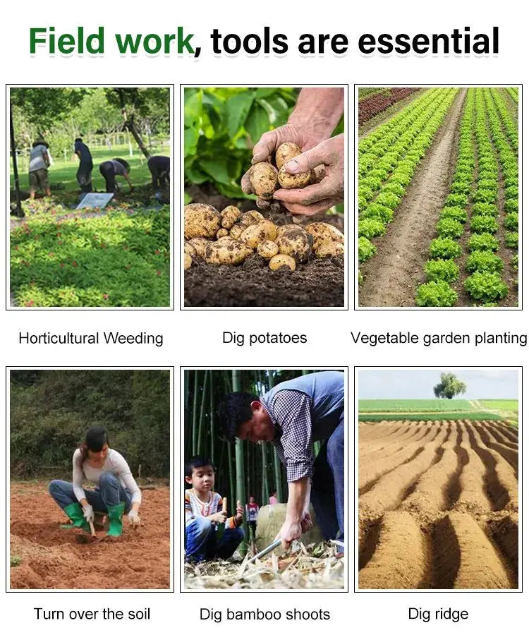 WeedMaster™ - Votre Outil de Désherbage Ultime