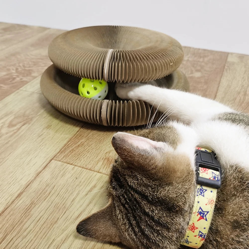 ClawVista™ Planche à Gratter Pliable et Amusante — Transformez les Griffes de Votre Chat en Jeu Heureux, Pas en Colère Contre les Meubles
