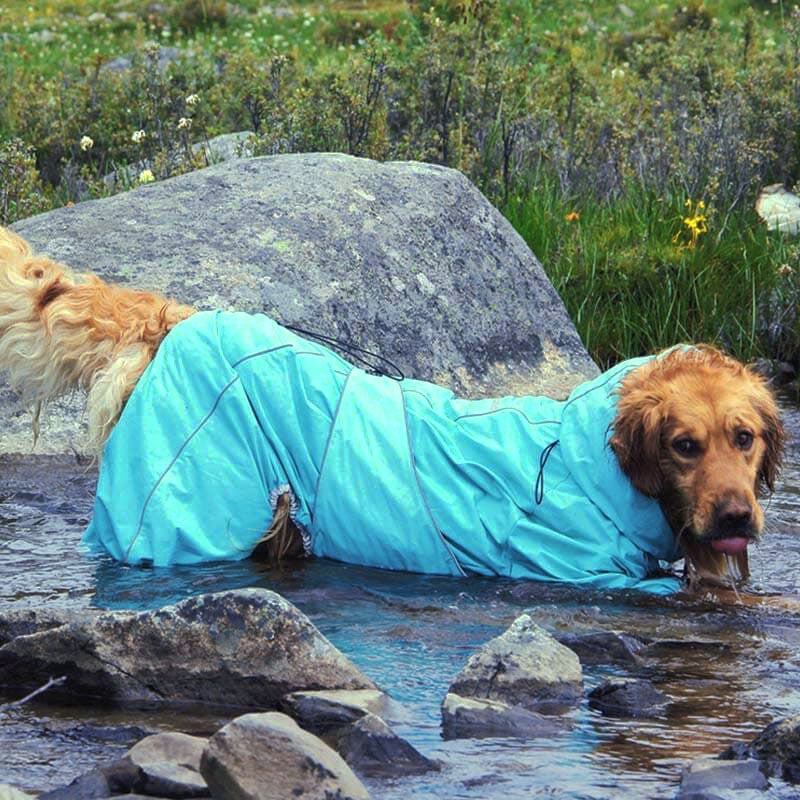 Imperméable pour Chiens – Veste Extérieure Ajustable pour Chiens