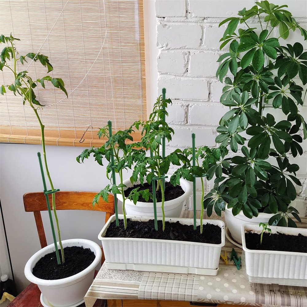 PlantSupport - Support de Croissance pour Plantes