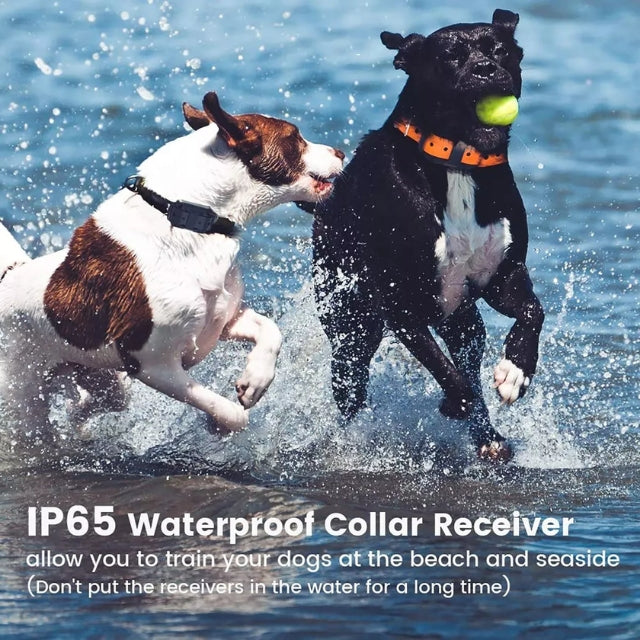 Collier Électrique pour Dressage de Chiens – Contrôle à Distance Sûr et Efficace