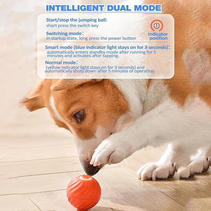 BarkBounce - Balle Interactive pour Chien