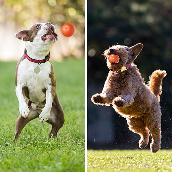 BarkBounce - Balle Interactive pour Chien