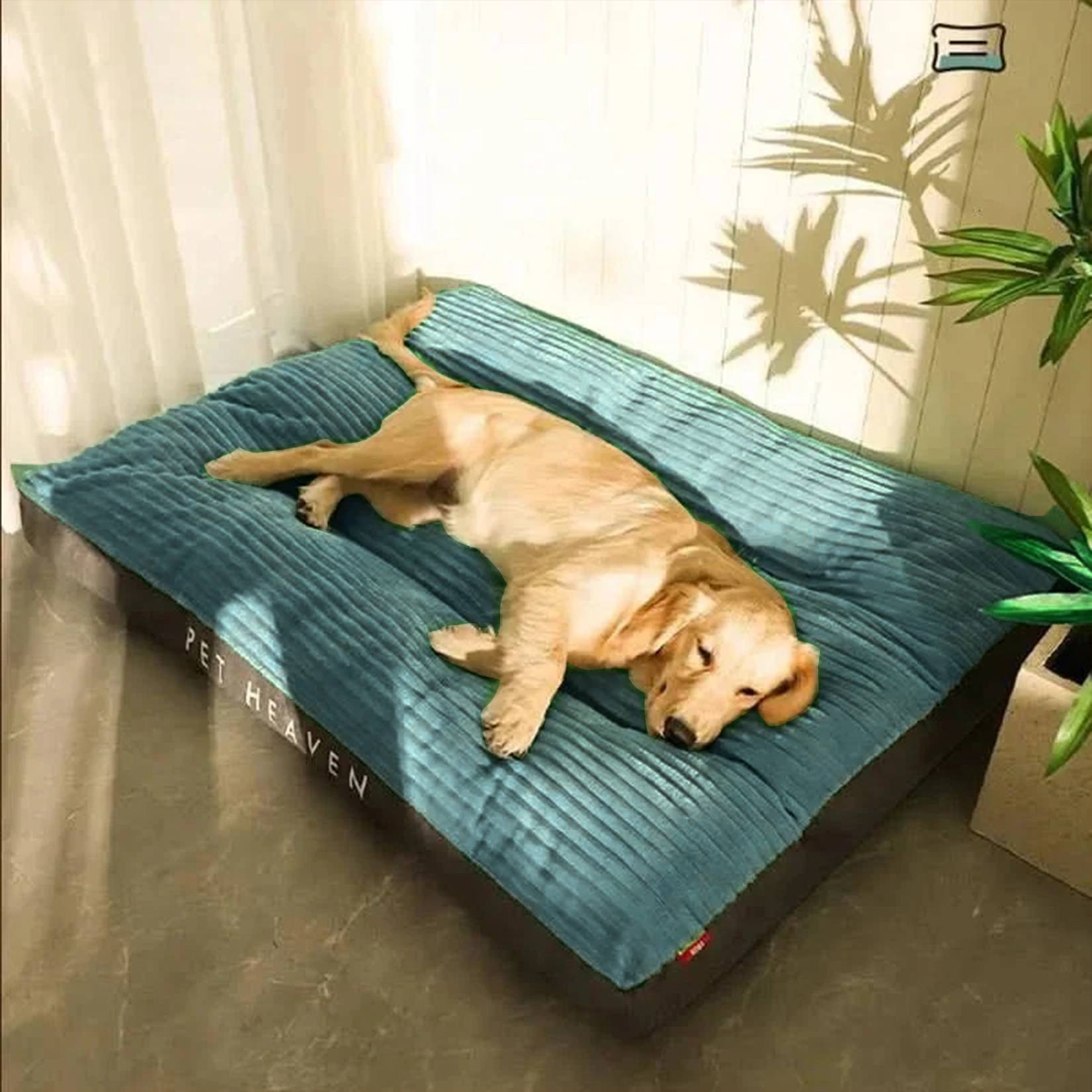 FlauschNest Lit pour Chien Orthopédique – Douillet & Soutenant pour des Nuits Reposantes