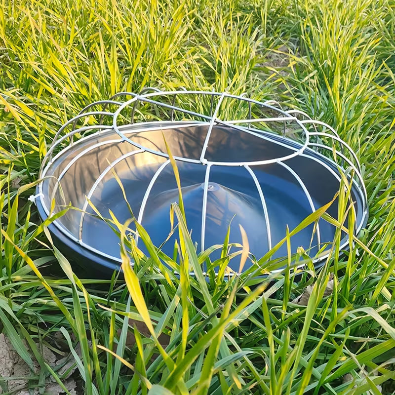 AviFeast™ — Apportez la paix, l'ordre et l'abondance à chaque repas d'oiseau