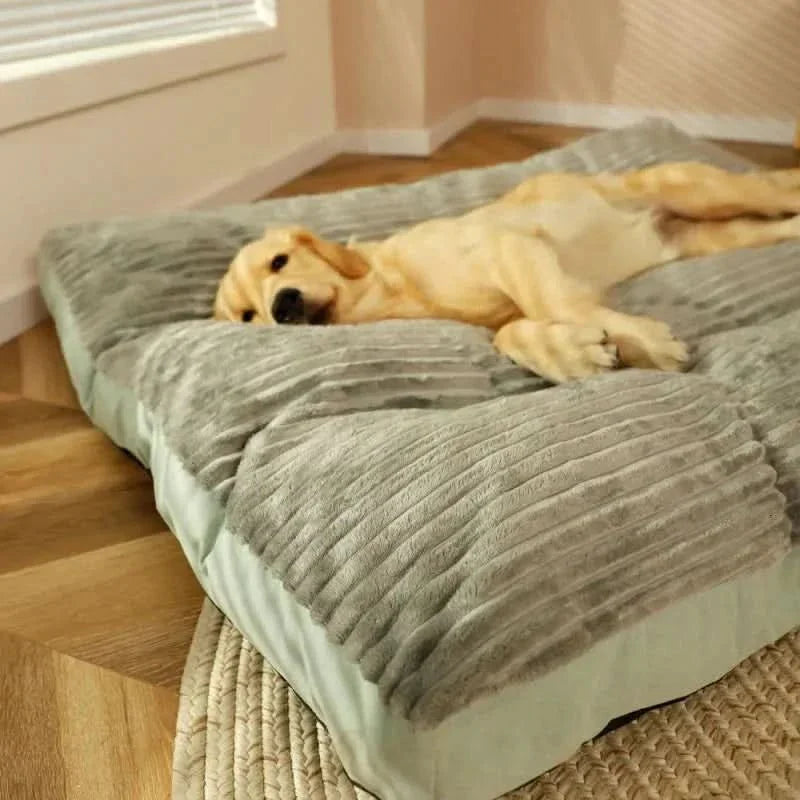 FlauschNest Lit pour Chien Orthopédique – Douillet & Soutenant pour des Nuits Reposantes