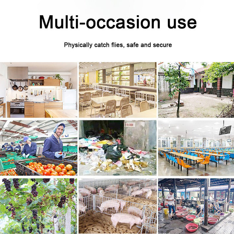 BreezeCatch™ — Profitez enfin d'une maison sans mouches sans produits chimiques ni bruit