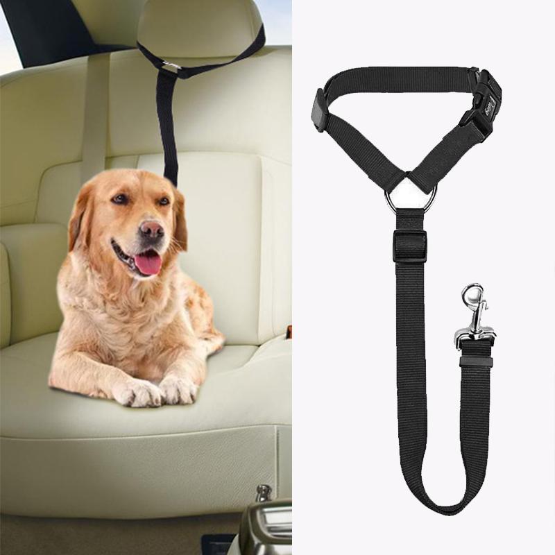 DogCatFri™ CarLeash 1+1 GRATUIT : Laisse de Sécurité Ajustable pour Animaux de Compagnie en Voiture
