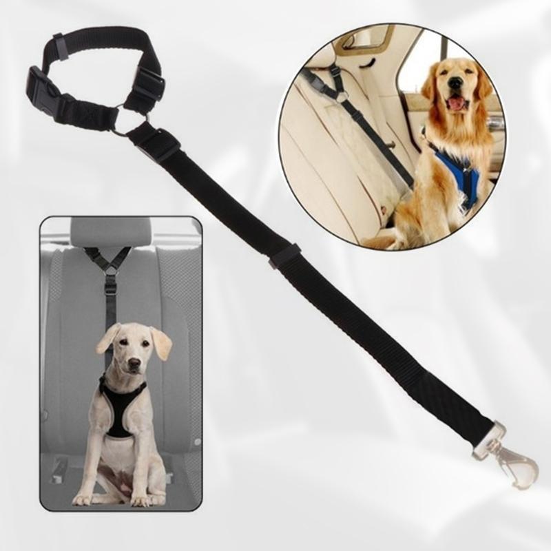 DogCatFri™ CarLeash 1+1 GRATUIT : Laisse de Sécurité Ajustable pour Animaux de Compagnie en Voiture