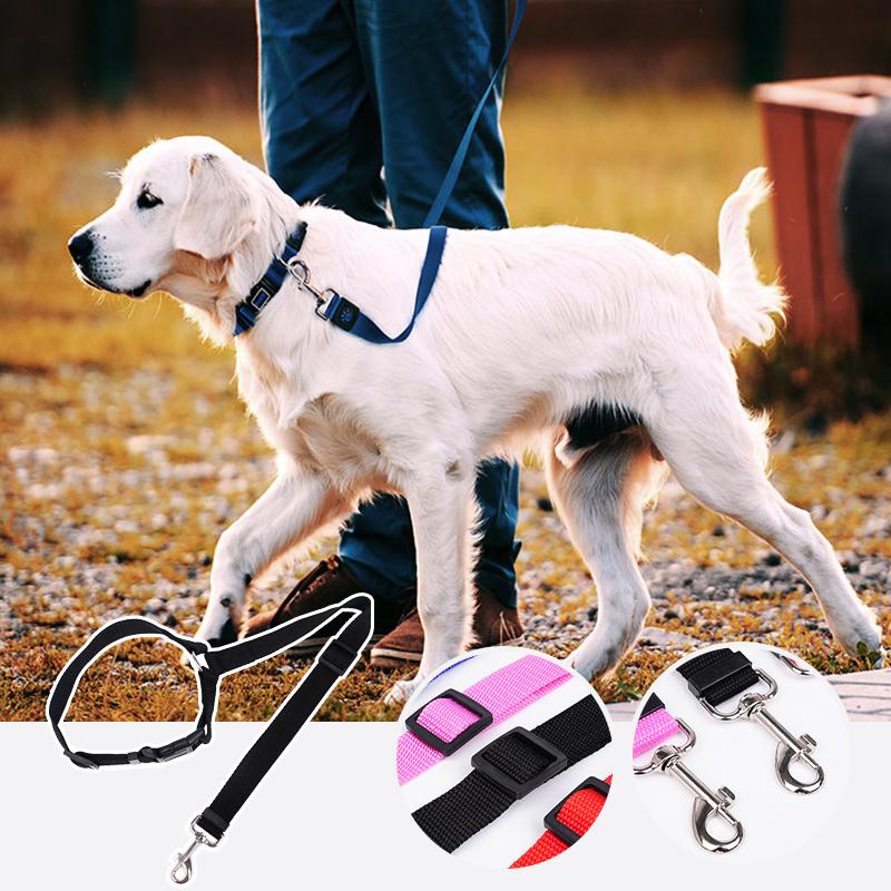 DogCatFri™ CarLeash 1+1 GRATUIT : Laisse de Sécurité Ajustable pour Animaux de Compagnie en Voiture