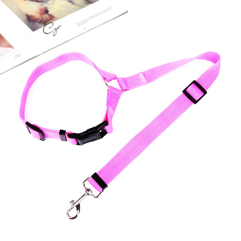 DogCatFri™ CarLeash 1+1 GRATUIT : Laisse de Sécurité Ajustable pour Animaux de Compagnie en Voiture