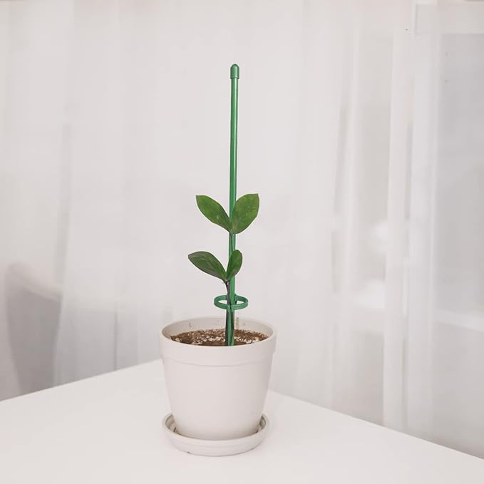 PlantSupport - Support de Croissance pour Plantes