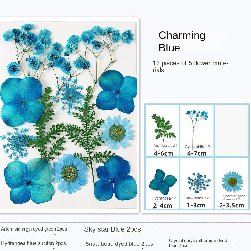 Marque-pages transparents avec fleurs séchées Woyuosn