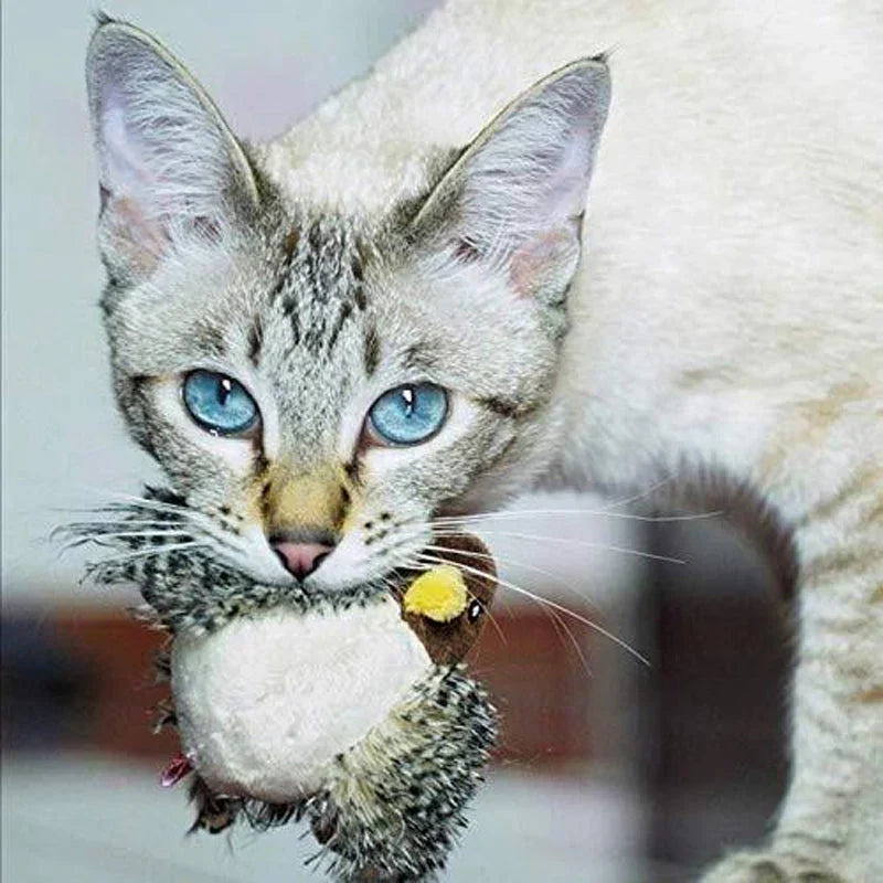 Catfri® Jouet Oiseau : Jouet Interactif Pour Chats