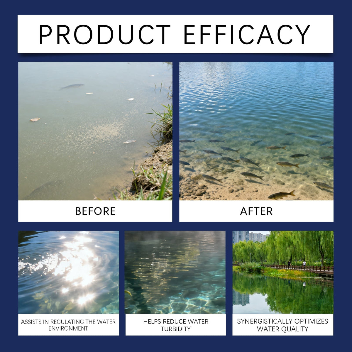 ClariPure™ Affineur d'Eau Avancé — Révélez Instantanément la Vie Vibrante Sous la Surface de Votre Eau