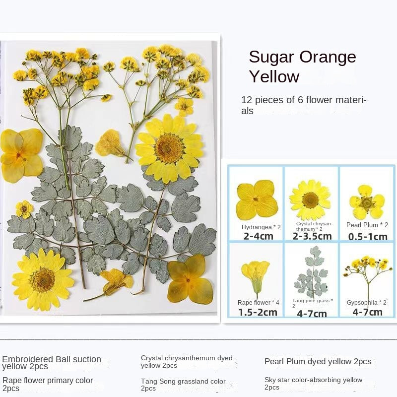 Marque-pages transparents avec fleurs séchées Woyuosn