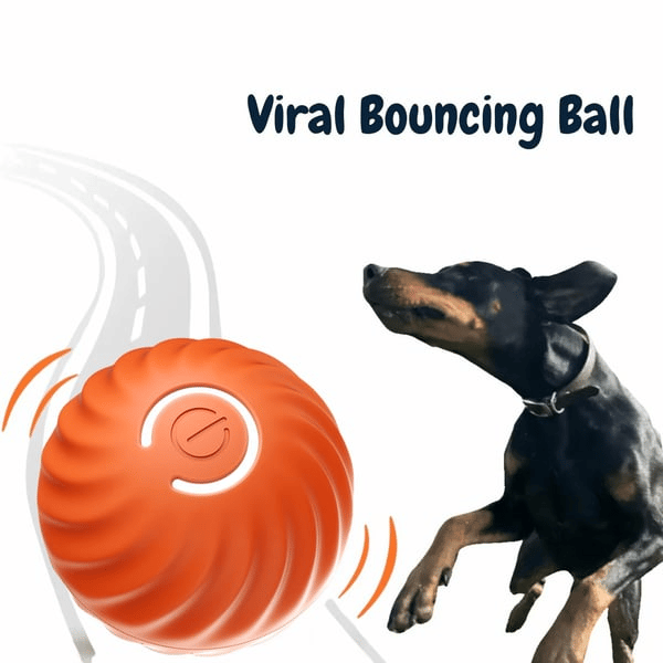 BarkBounce - Balle Interactive pour Chien