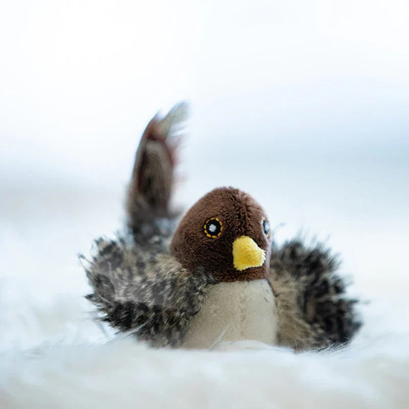 Catfri® Jouet Oiseau : Jouet Interactif Pour Chats
