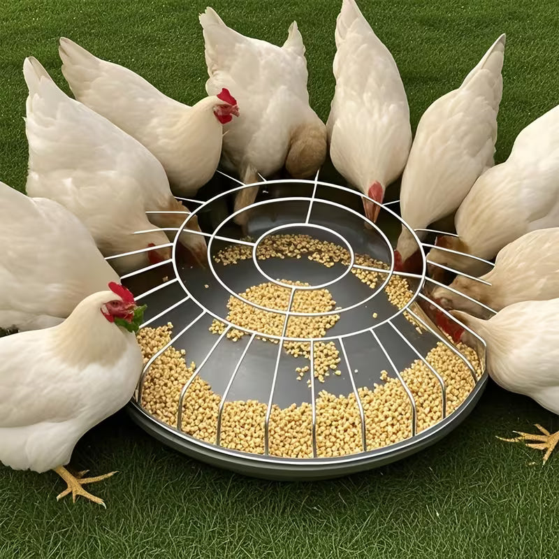 AviFeast™ — Apportez la paix, l'ordre et l'abondance à chaque repas d'oiseau
