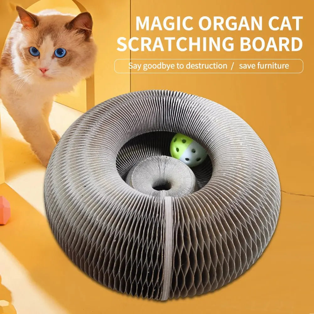 ClawVista™ Planche à Gratter Pliable et Amusante — Transformez les Griffes de Votre Chat en Jeu Heureux, Pas en Colère Contre les Meubles