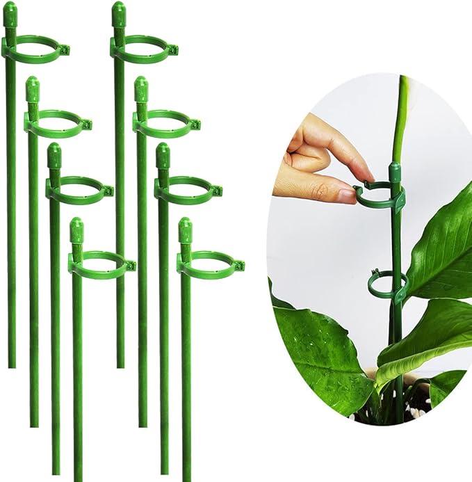 PlantSupport - Support de Croissance pour Plantes