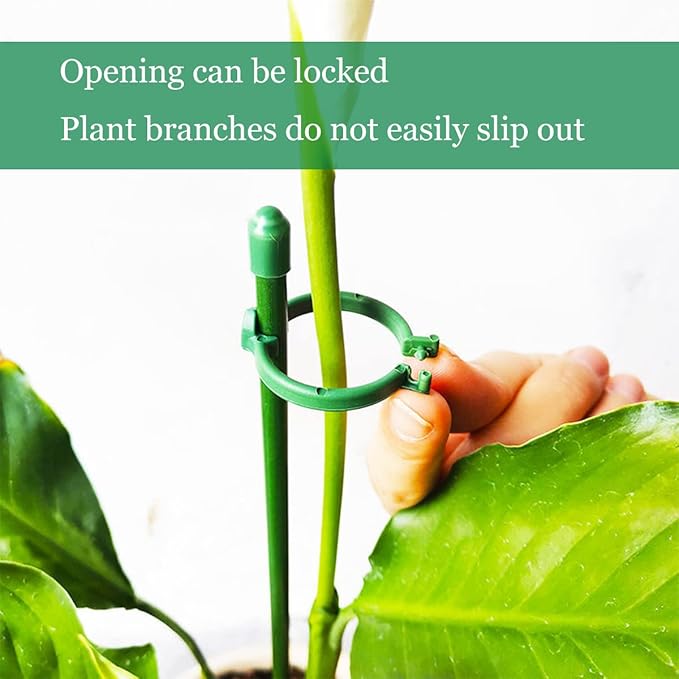 PlantSupport - Support de Croissance pour Plantes