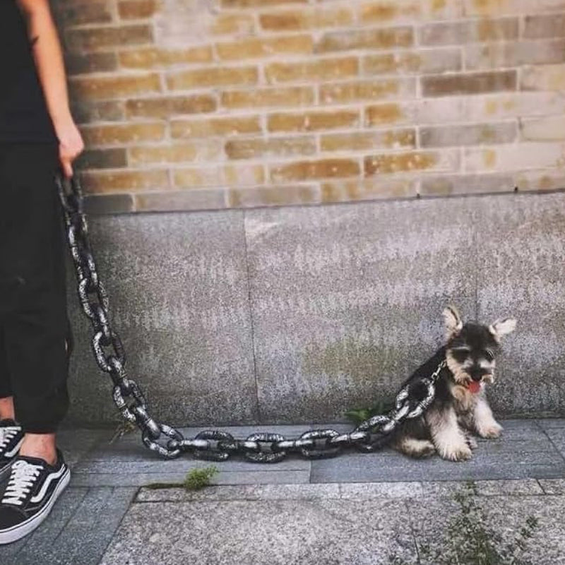 ChicPaw™ — Libérez le style, la liberté et la confiance à chaque promenade