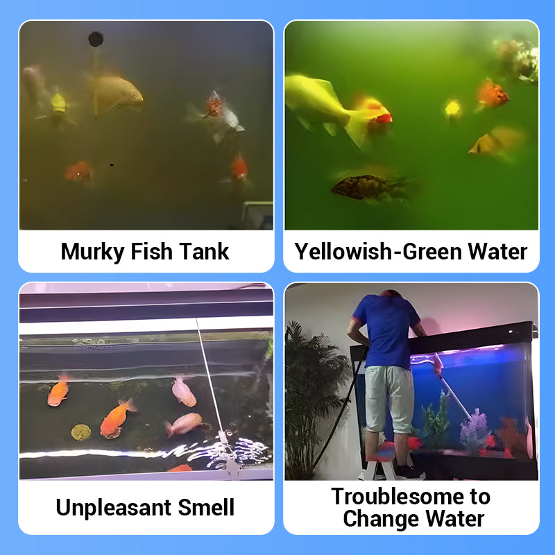 Tablette de purification de l'eau d'aquarium puissante