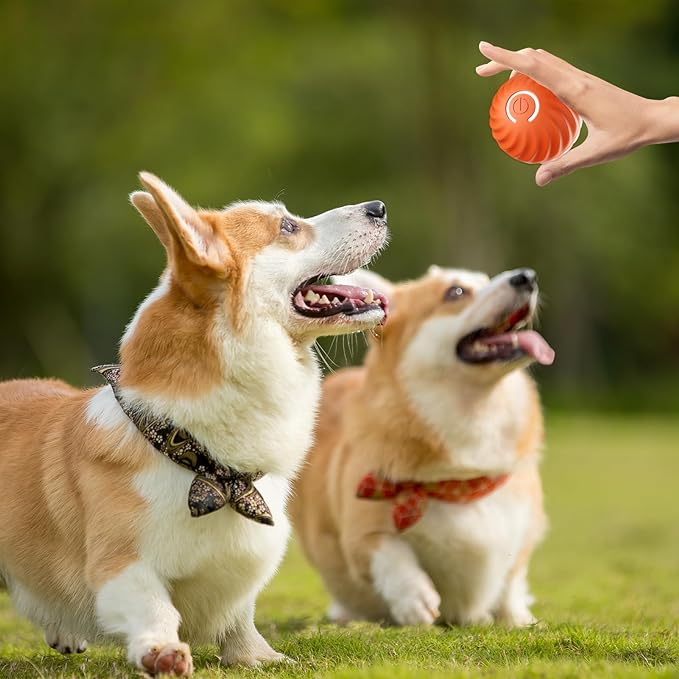 BarkBounce - Balle Interactive pour Chien