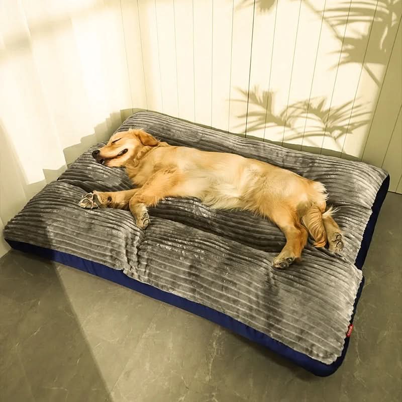 FlauschNest Lit pour Chien Orthopédique – Douillet & Soutenant pour des Nuits Reposantes