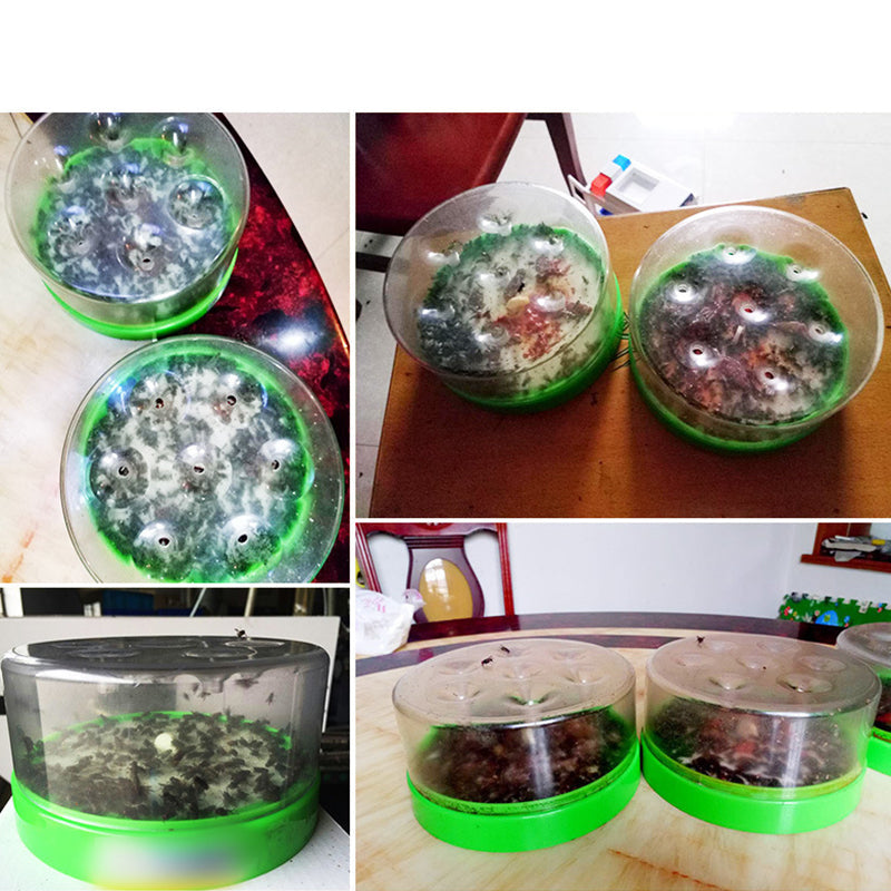 BreezeCatch™ — Profitez enfin d'une maison sans mouches sans produits chimiques ni bruit