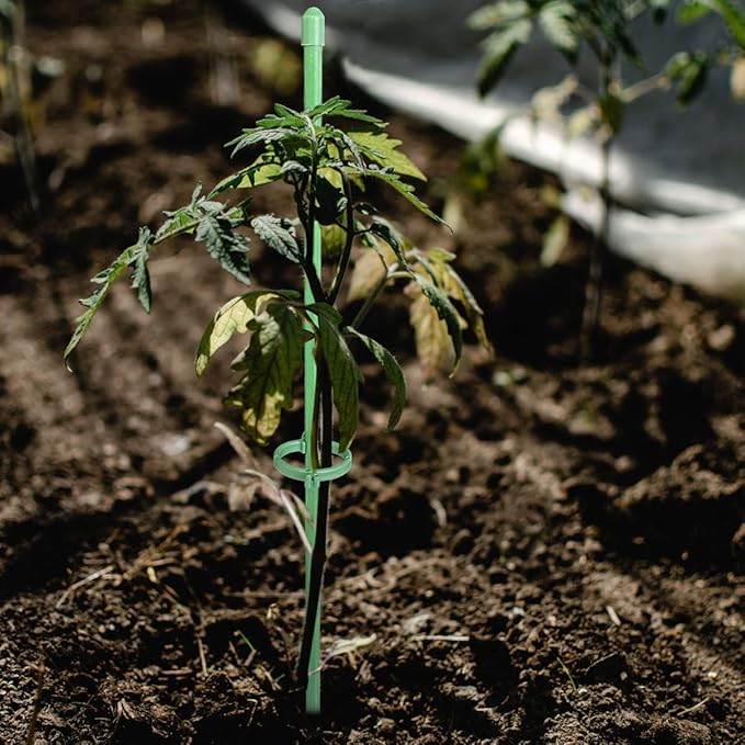 PlantSupport - Support de Croissance pour Plantes