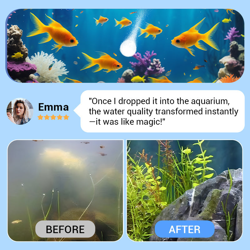 Tablette de purification de l'eau d'aquarium puissante