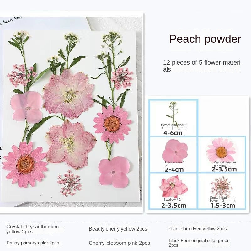 Marque-pages transparents avec fleurs séchées Woyuosn
