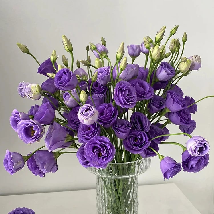 Rose Eustoma Sans Épines💐Graines de Lisanthus