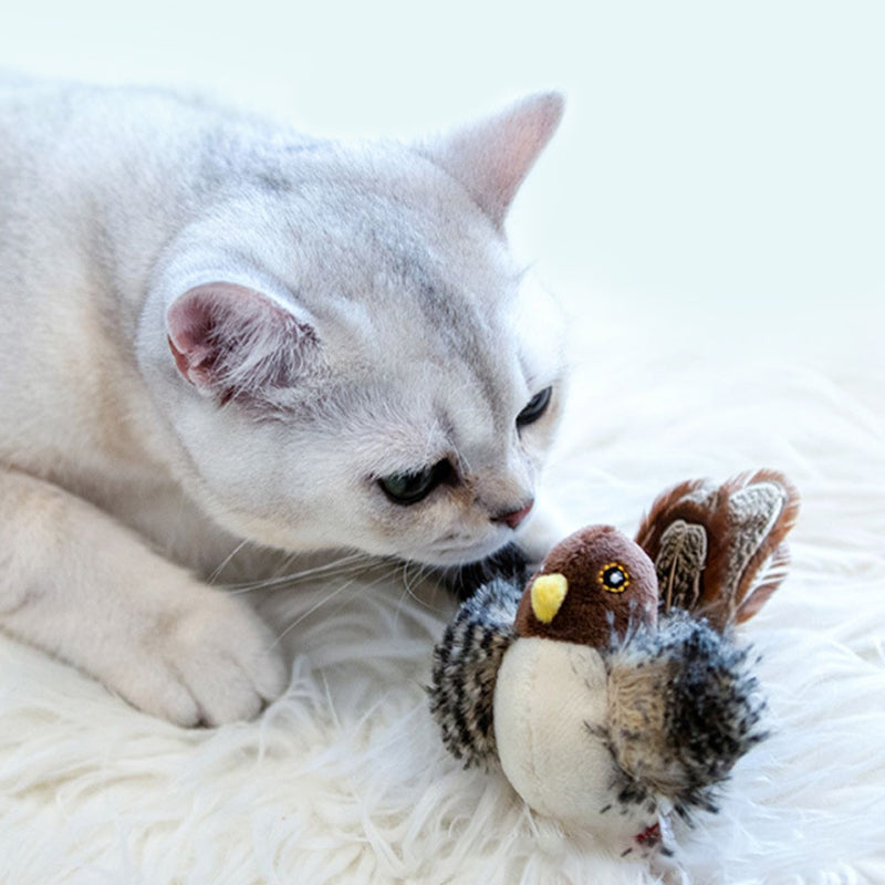 Catfri® Jouet Oiseau : Jouet Interactif Pour Chats