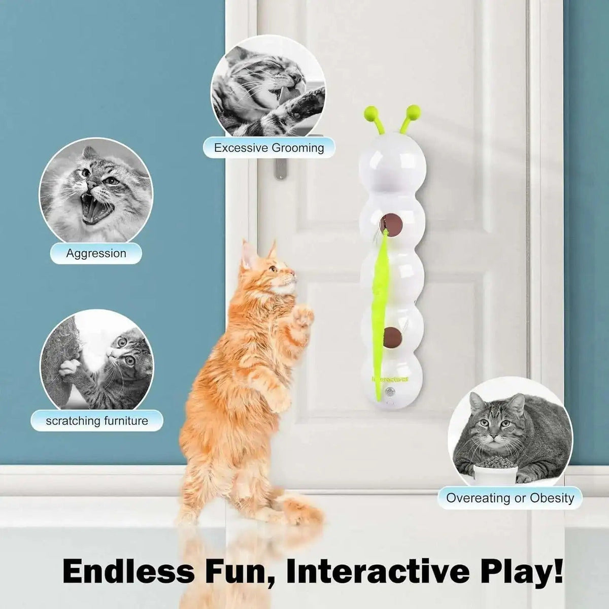 ClawBounce™ — Transformez n'importe quel mur en aire de jeux de pur plaisir