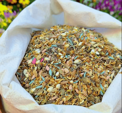 🔥Dernier jour de liquidation💝Graines de Fleurs Vivaces Mélangées - Plus de 30 sortes mélangées