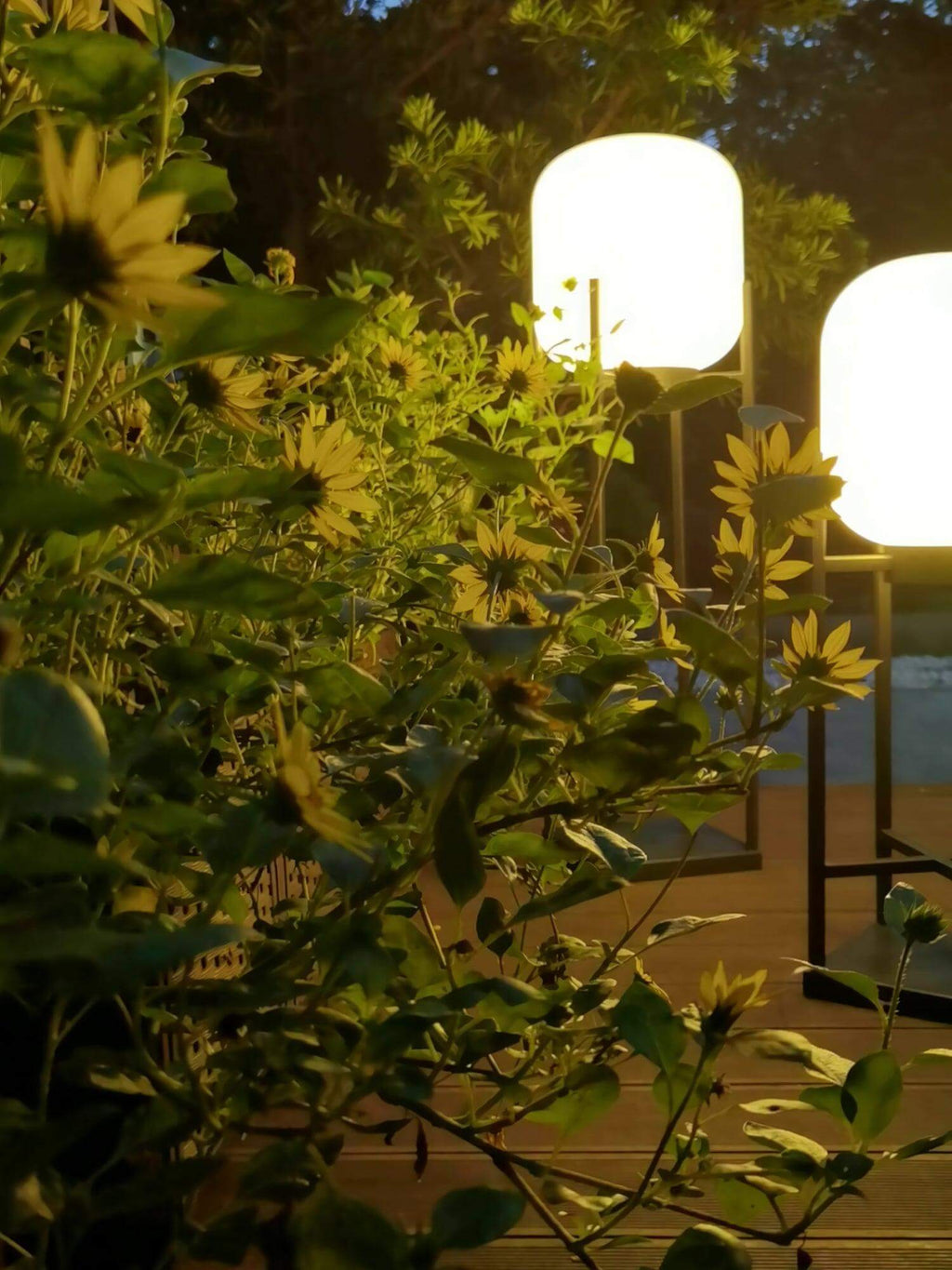 Lampe Solaire de Sol pour Extérieur – Éclairage Ambiant Durable pour Jardin et Terrasse