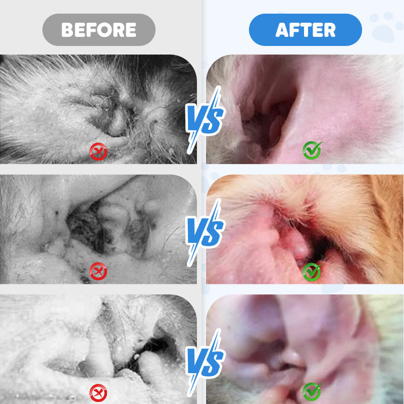 AurisEase™ — Apaisez Instantanément les Oreilles Démangeantes de Votre Animal et Restaurez un Confort Heureux et Sain